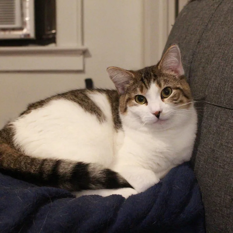 Sandy Cheeks thumbnail 4