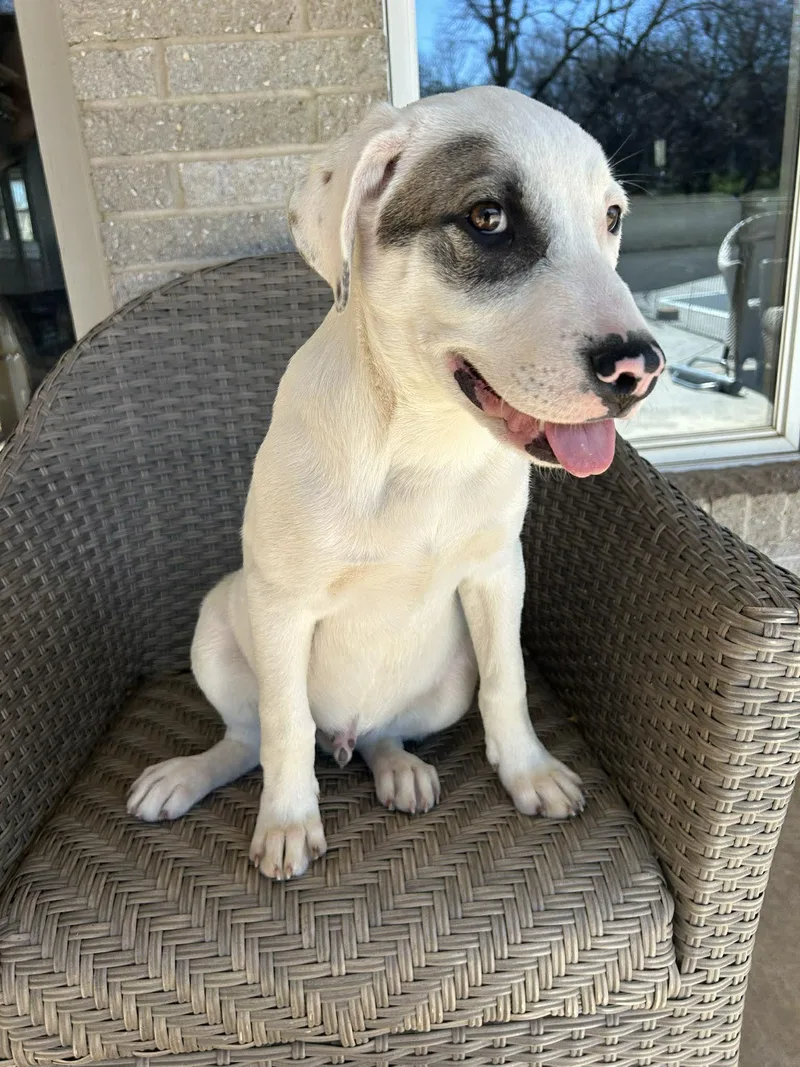 Smitty   $ thumbnail 2