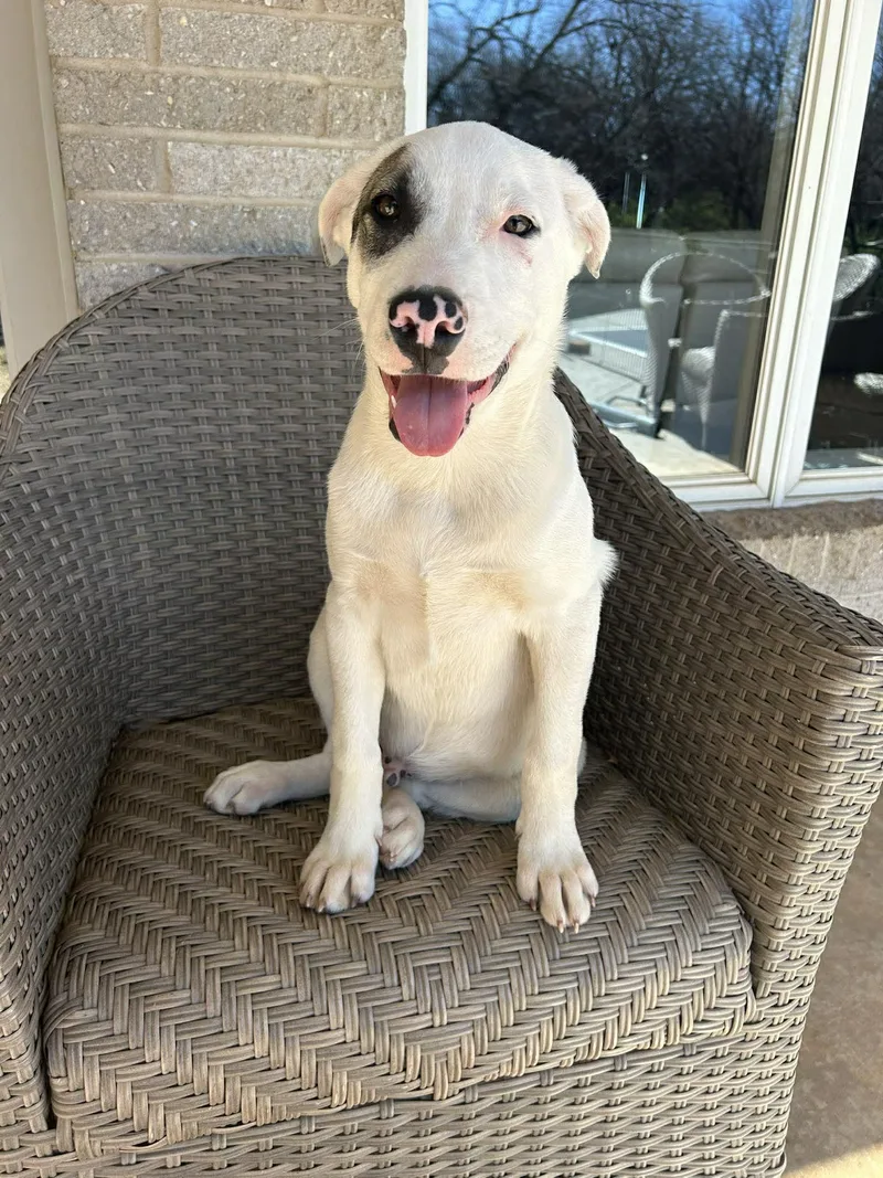 Smitty   $ thumbnail 3