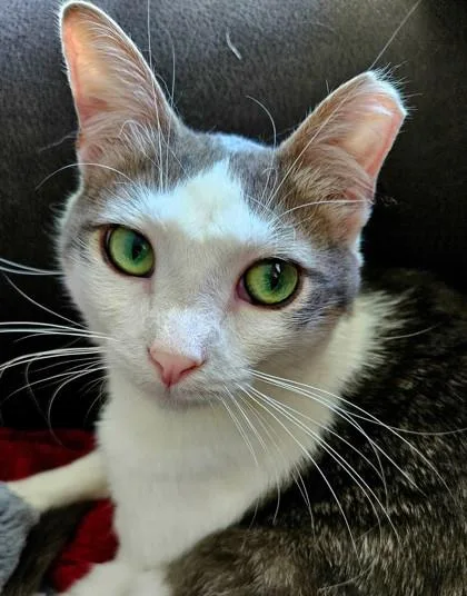 Maye & Mia Anne thumbnail 2