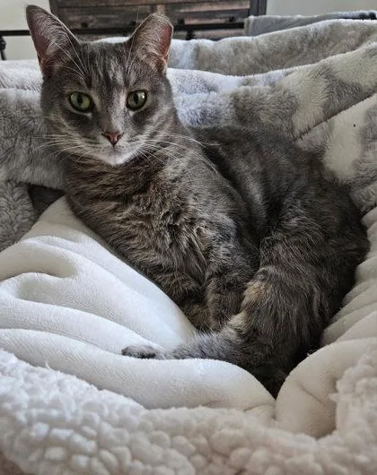 Maye & Mia Anne thumbnail 4