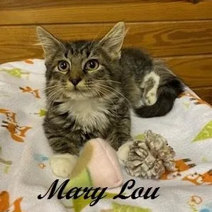 Mary Lou  sweet thumbnail 2