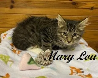 Mary Lou  sweet thumbnail 3