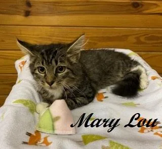 Mary Lou  sweet thumbnail 4