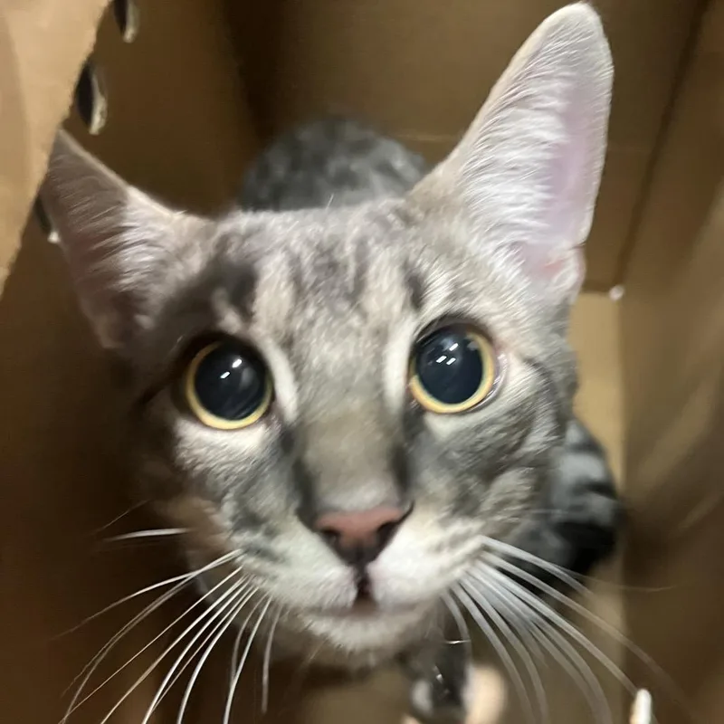 Jim