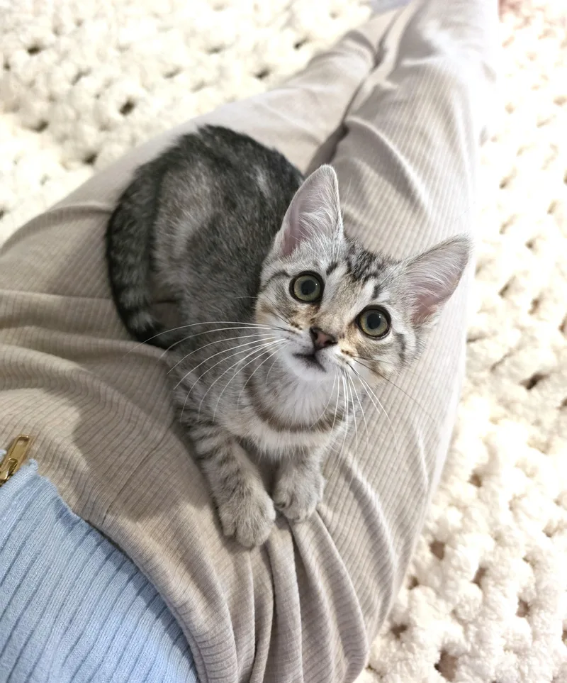 Lili thumbnail 5