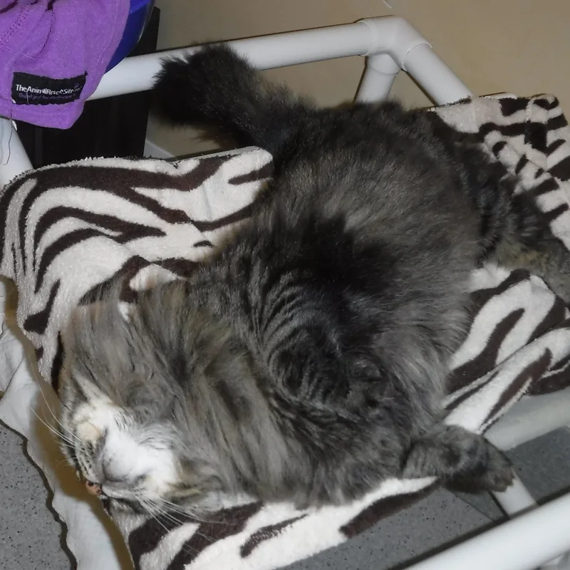 Madison  Lovely Maine thumbnail 4