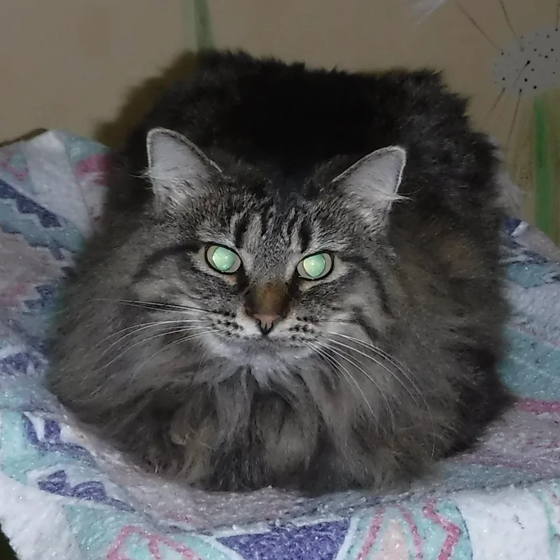 Madison  Lovely Maine thumbnail 5