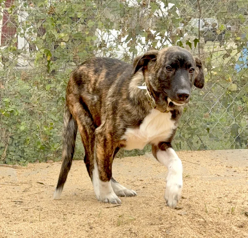 Bryn Houston  Tx thumbnail 2