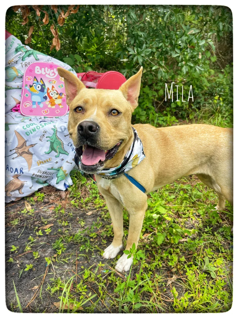 Mila