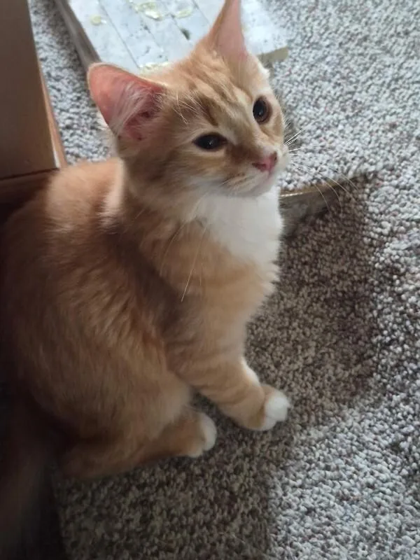 Charley thumbnail 2