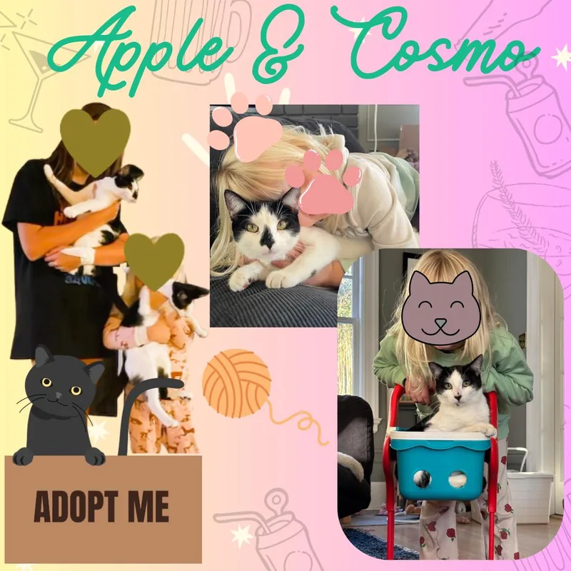 Cosmo & Apple thumbnail 3