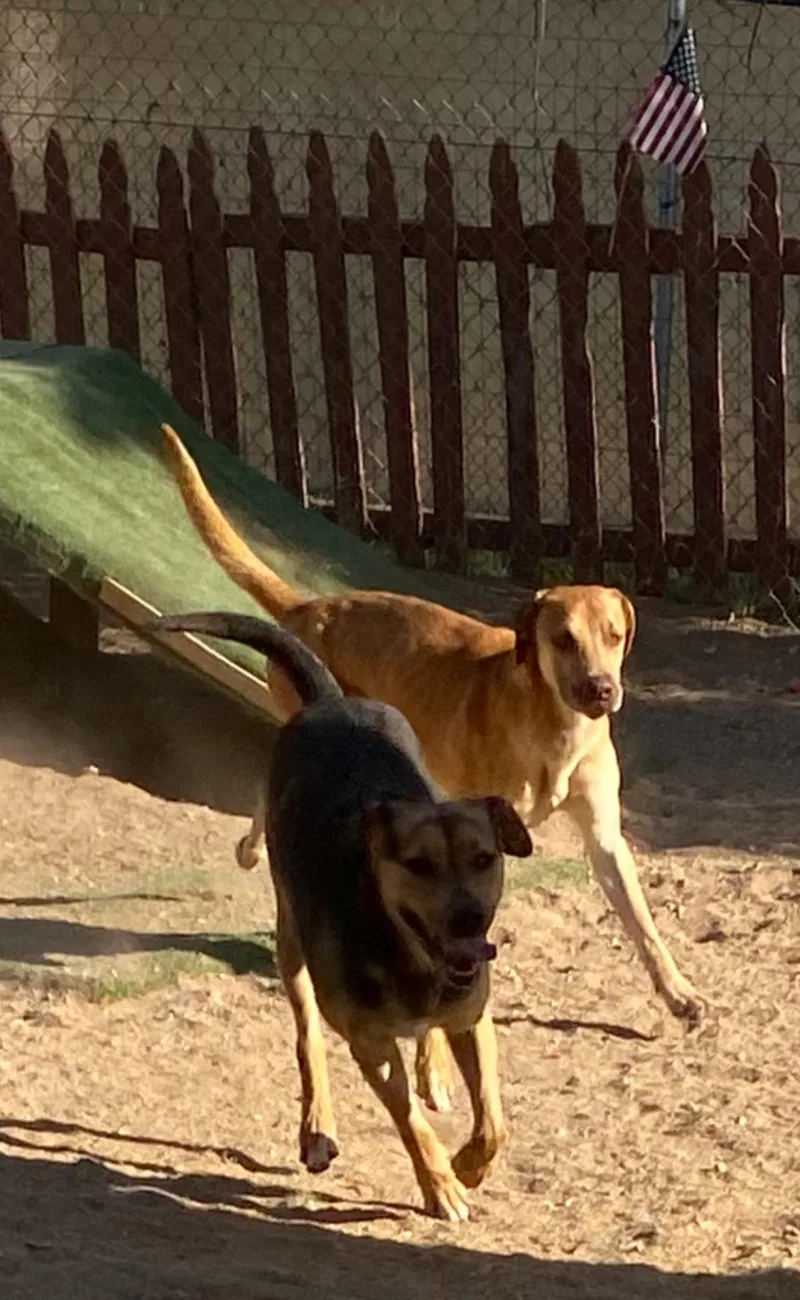 Kiwi Beautiful  Kind thumbnail 2