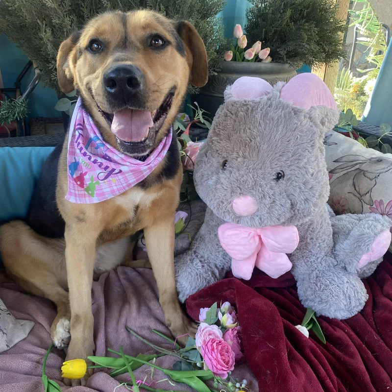 Kiwi Beautiful  Kind thumbnail 3