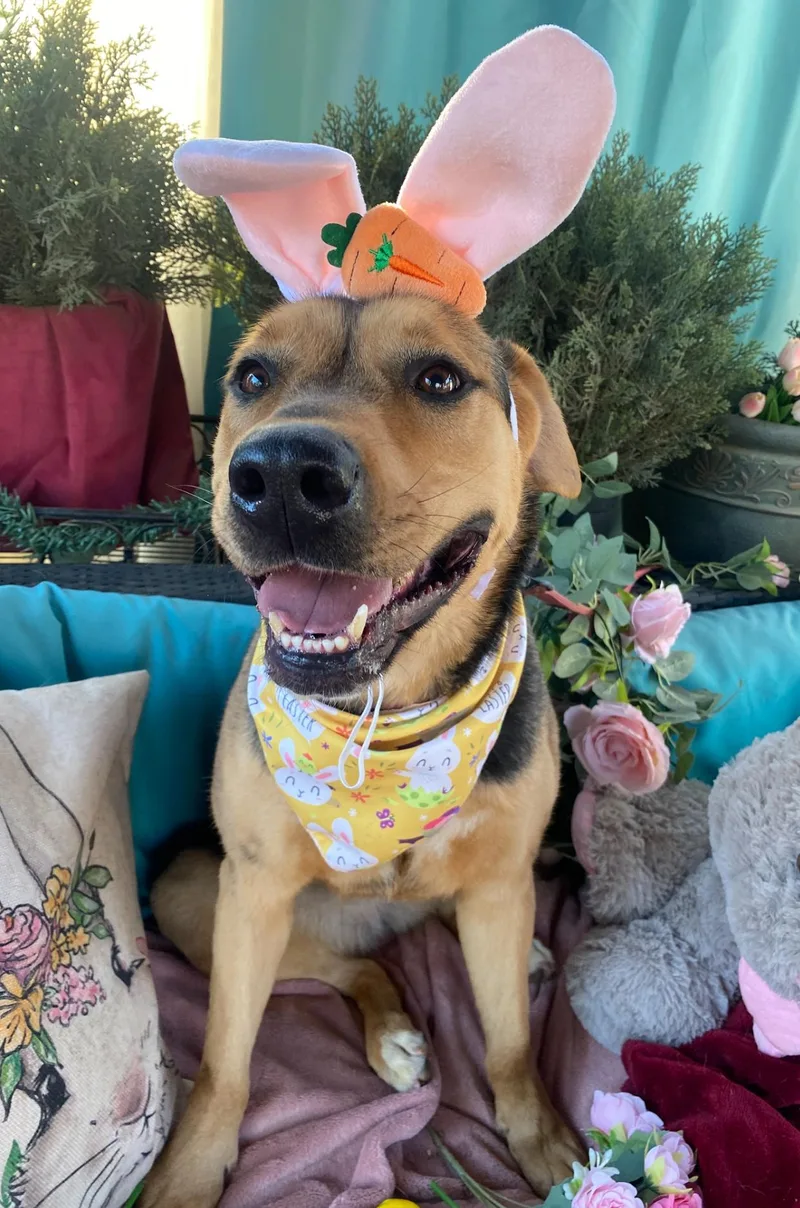 Kiwi Beautiful  Kind