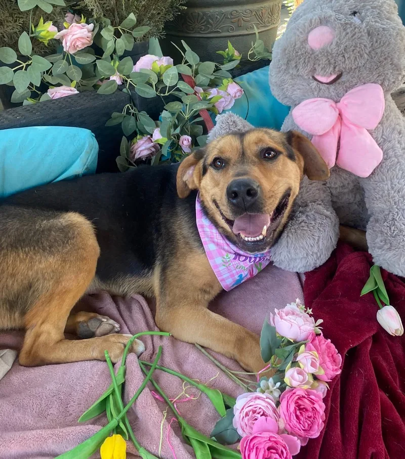 Kiwi Beautiful  Kind thumbnail 5