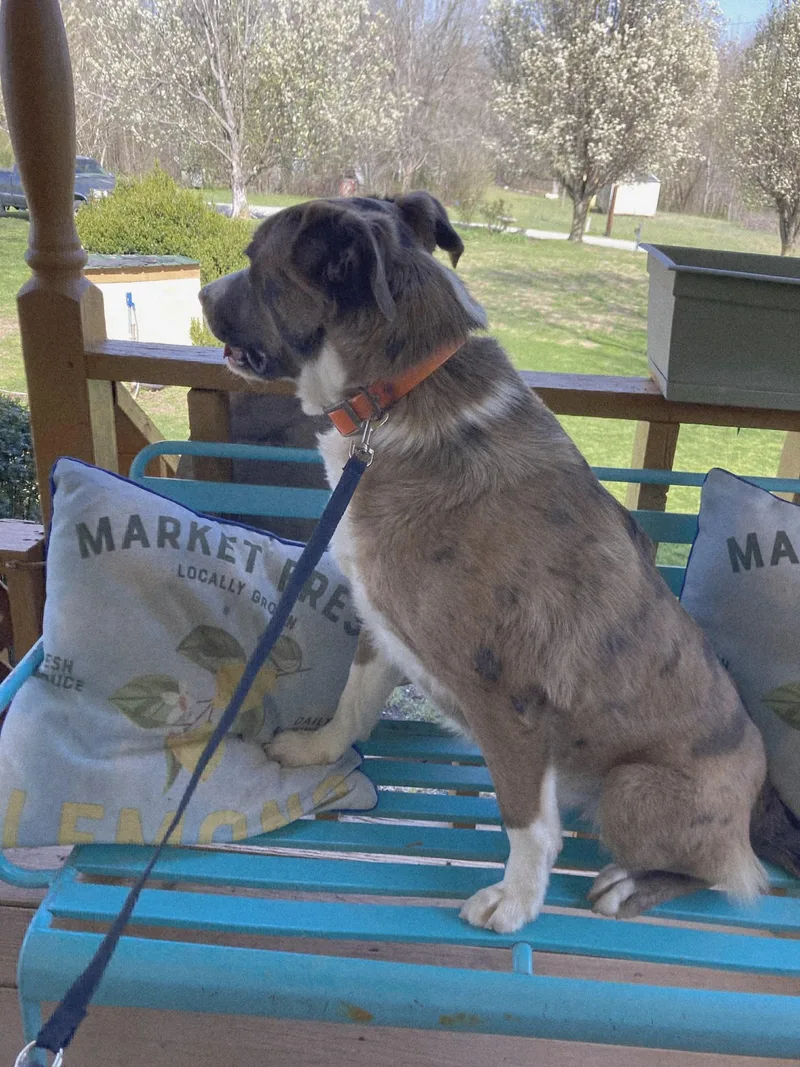 Willie Wonka thumbnail 2