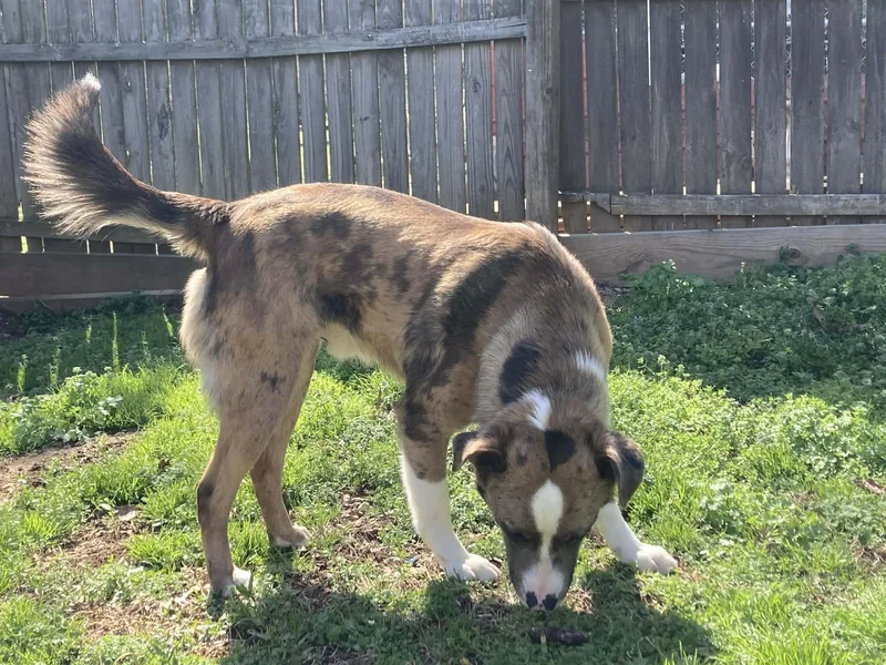 Willie Wonka thumbnail 3