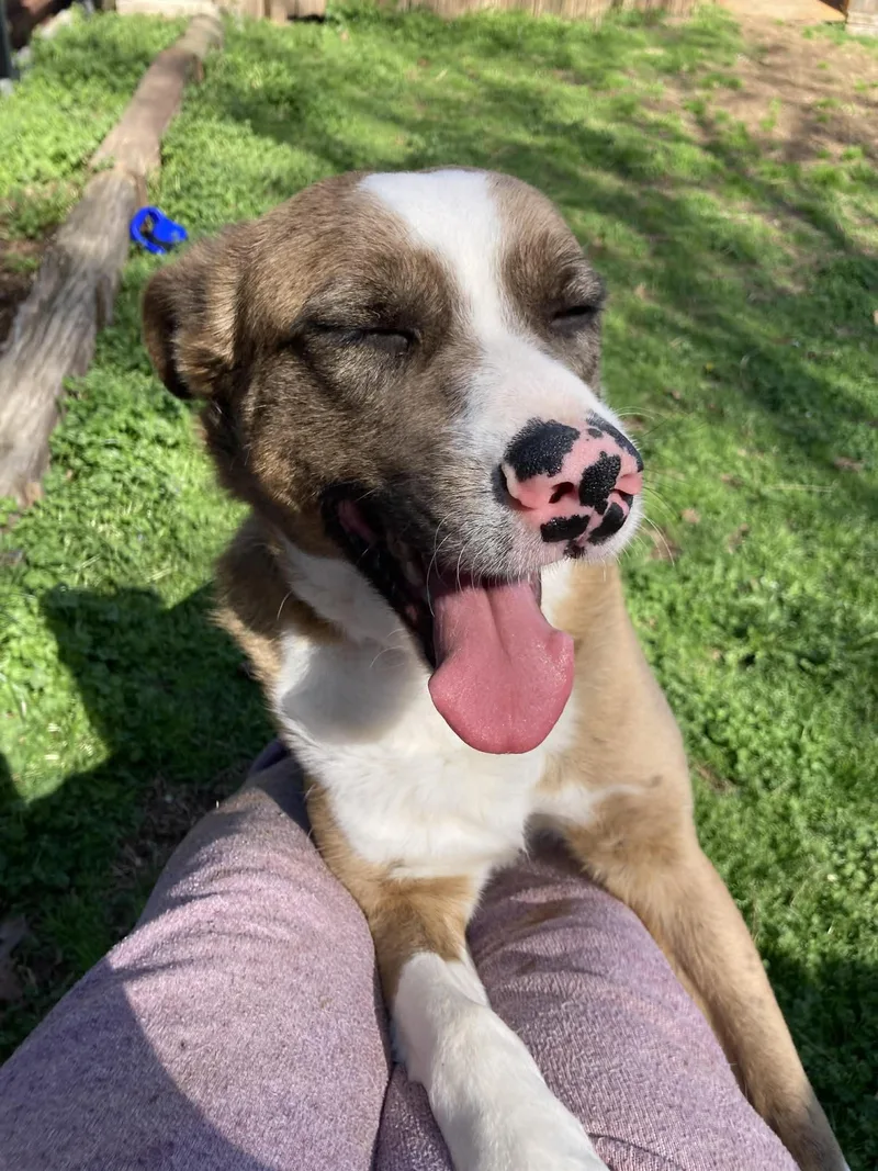 Willie Wonka thumbnail 4