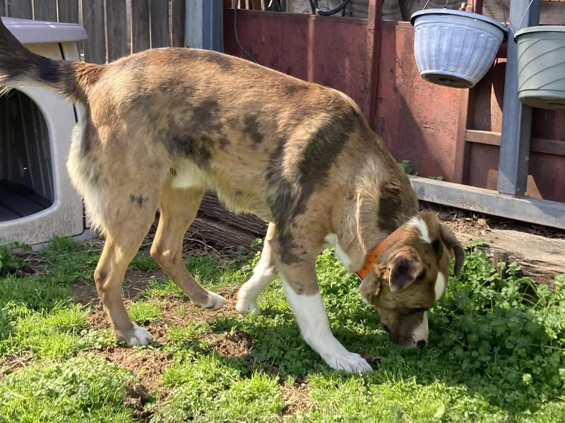 Willie Wonka thumbnail 5