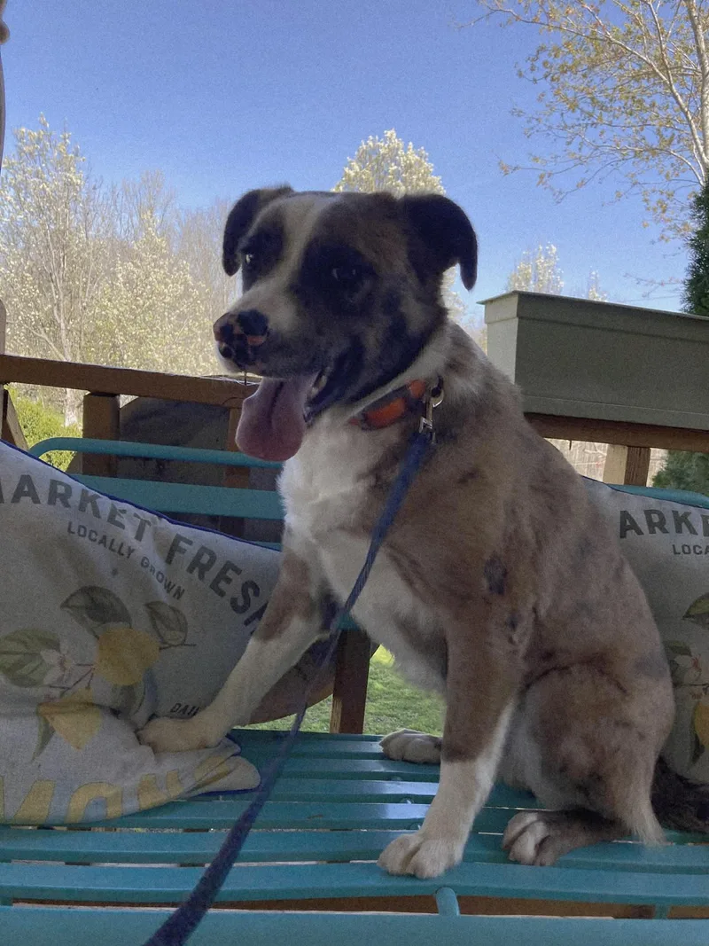 Willie Wonka thumbnail 6