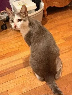 Jasmine T thumbnail 2