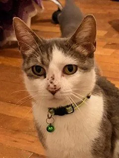 Jasmine T thumbnail 3