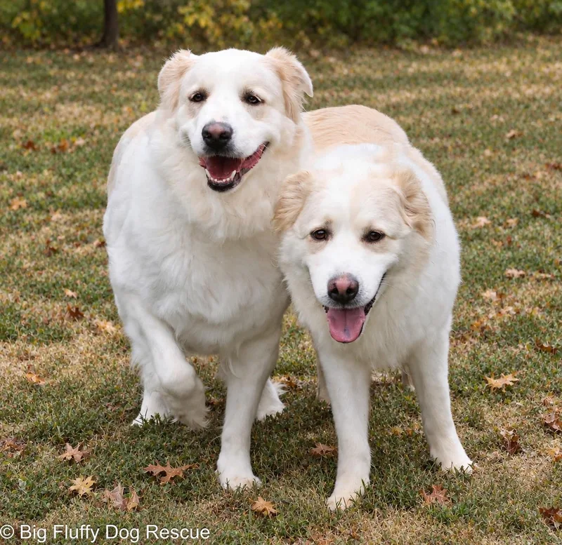 Julie and Lillie thumbnail 6