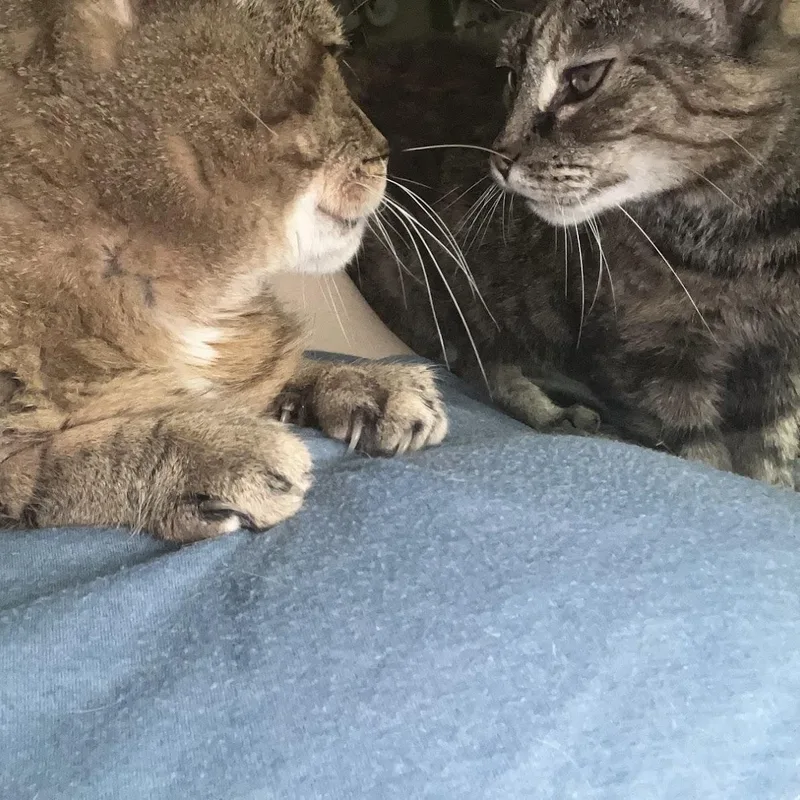 James Madison thumbnail 2