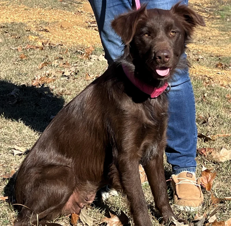 Camilla Very Smart And thumbnail 2