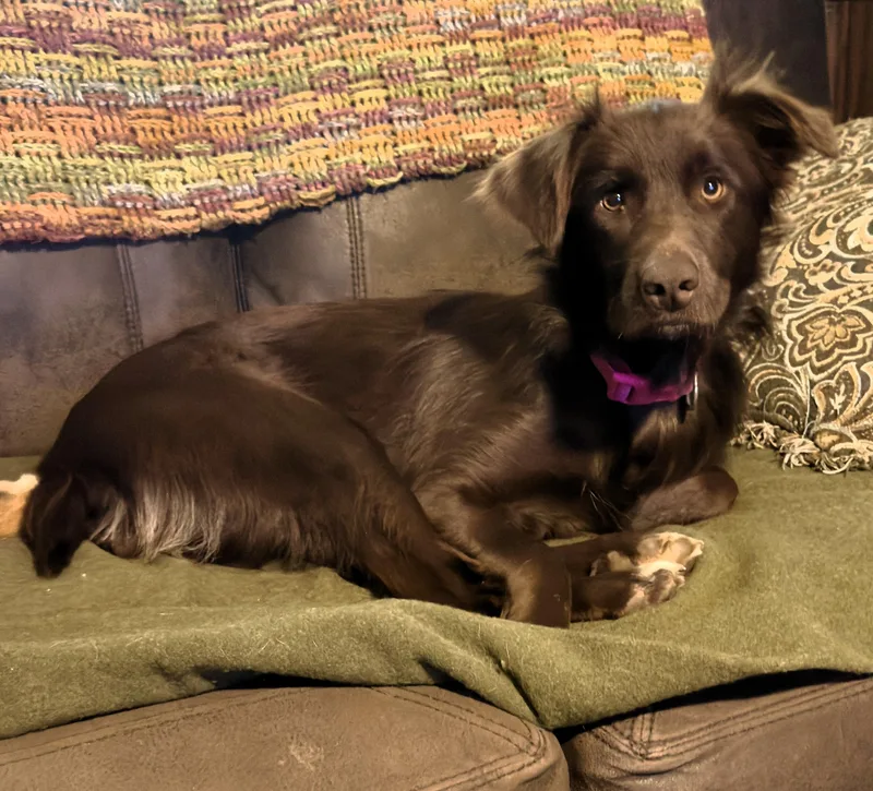 Camilla Very Smart And thumbnail 3