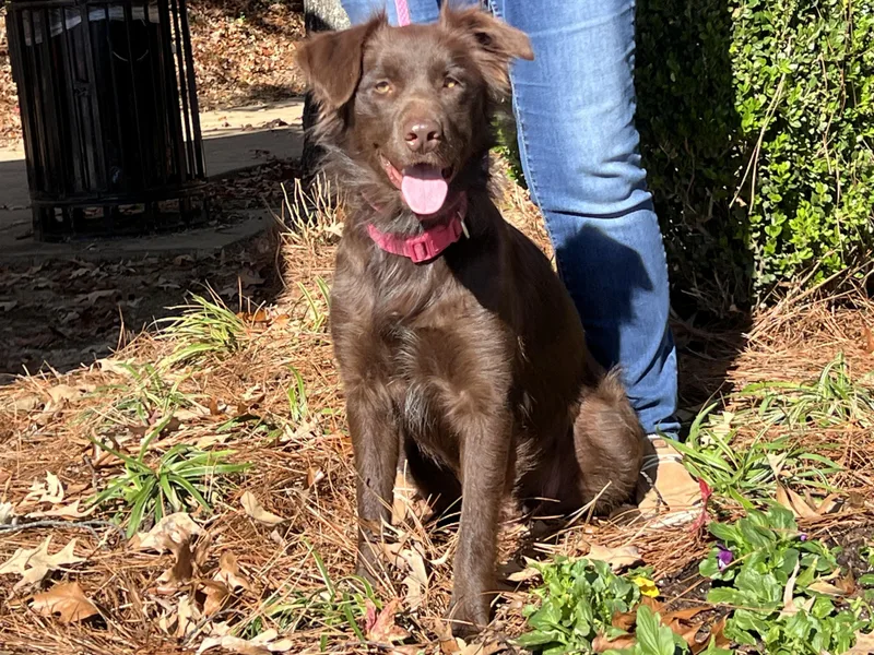 Camilla Very Smart And thumbnail 4