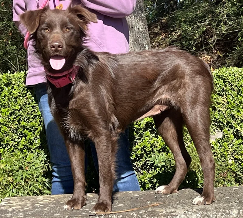 Camilla Very Smart And thumbnail 5