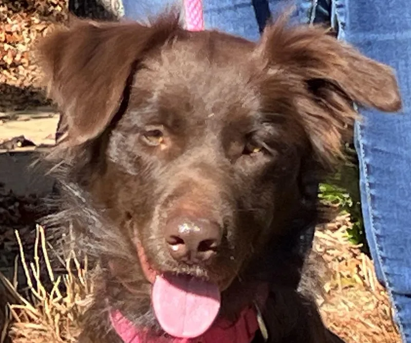 Camilla Very Smart And thumbnail 6