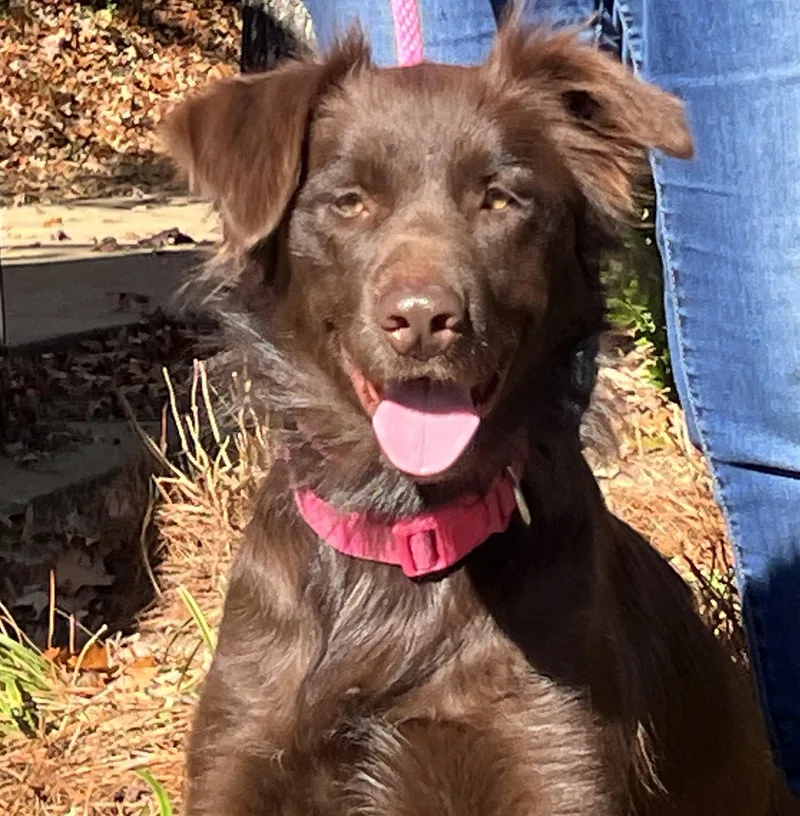 Camilla Very Smart And