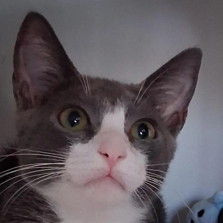 Stephanie thumbnail 2