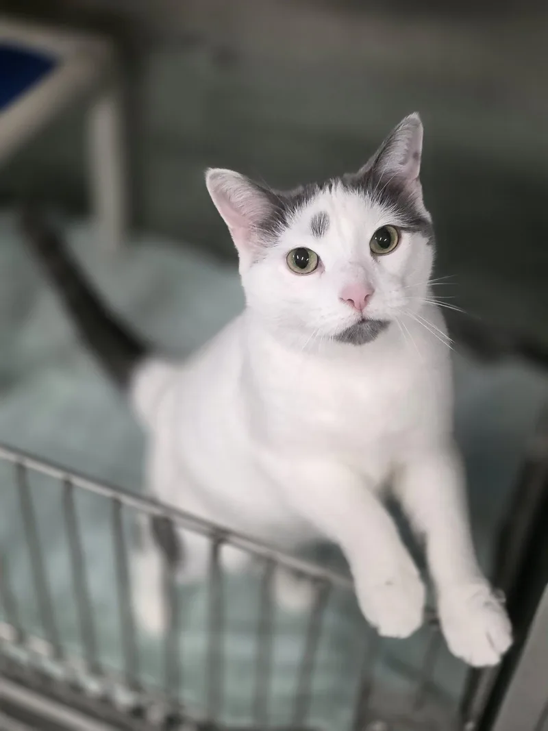 Penelope