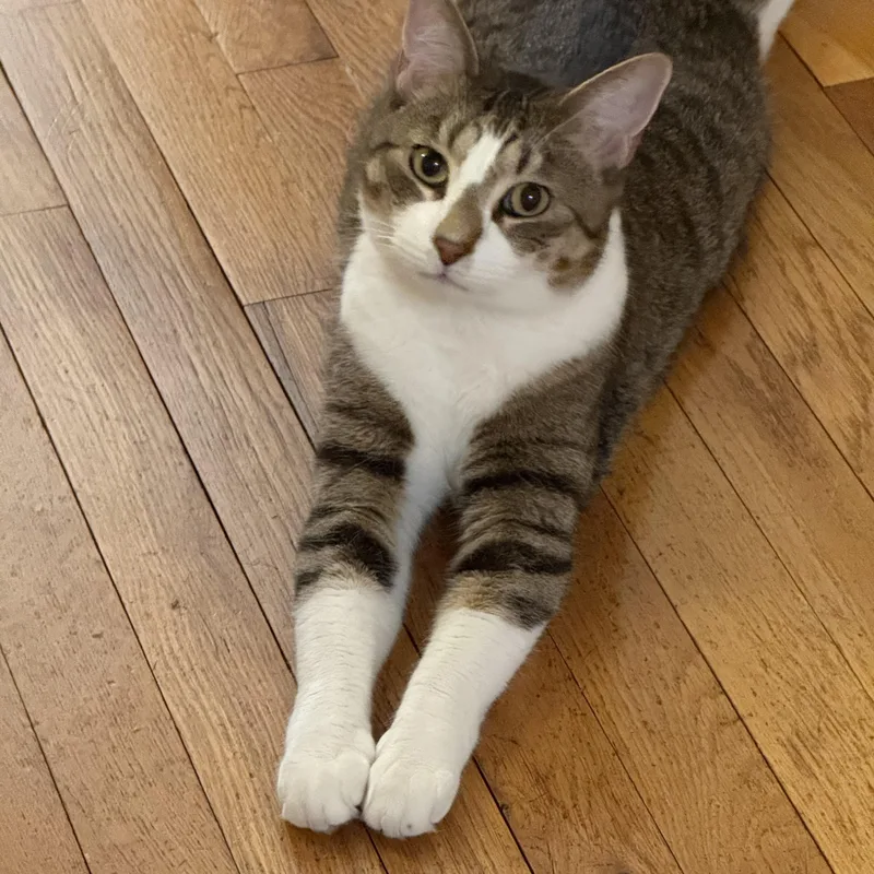 Posing Poster thumbnail 2