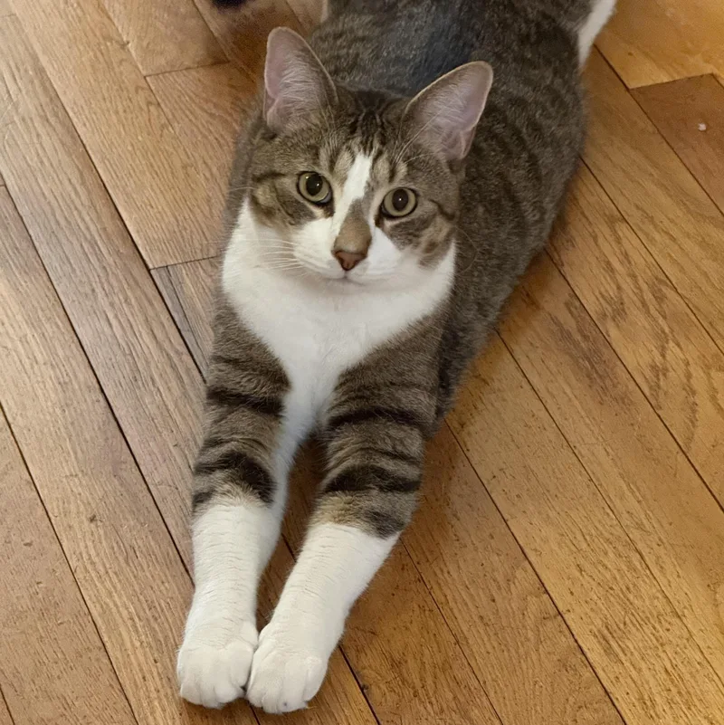 Posing Poster thumbnail 3