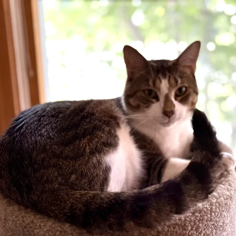 Posing Poster thumbnail 4