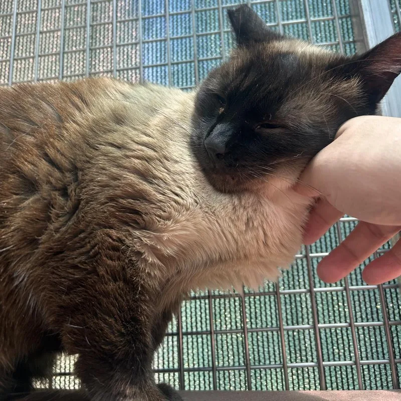 Lucy thumbnail 2