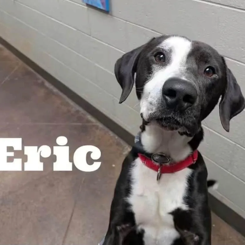 Eric thumbnail 2