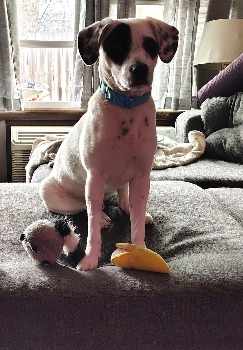 Odiecolumbus  Oh thumbnail 2