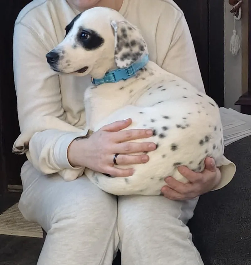 Odiecolumbus  Oh thumbnail 3