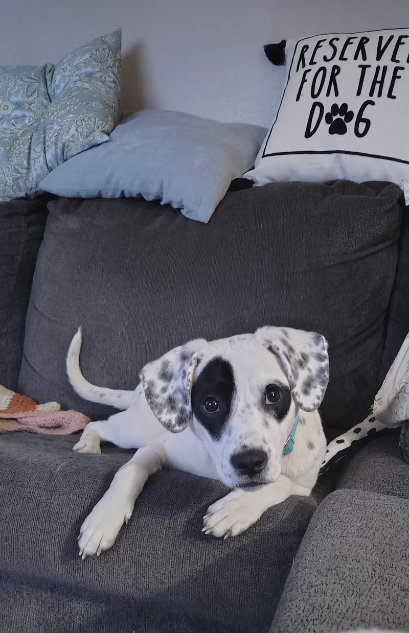 Odiecolumbus  Oh thumbnail 5