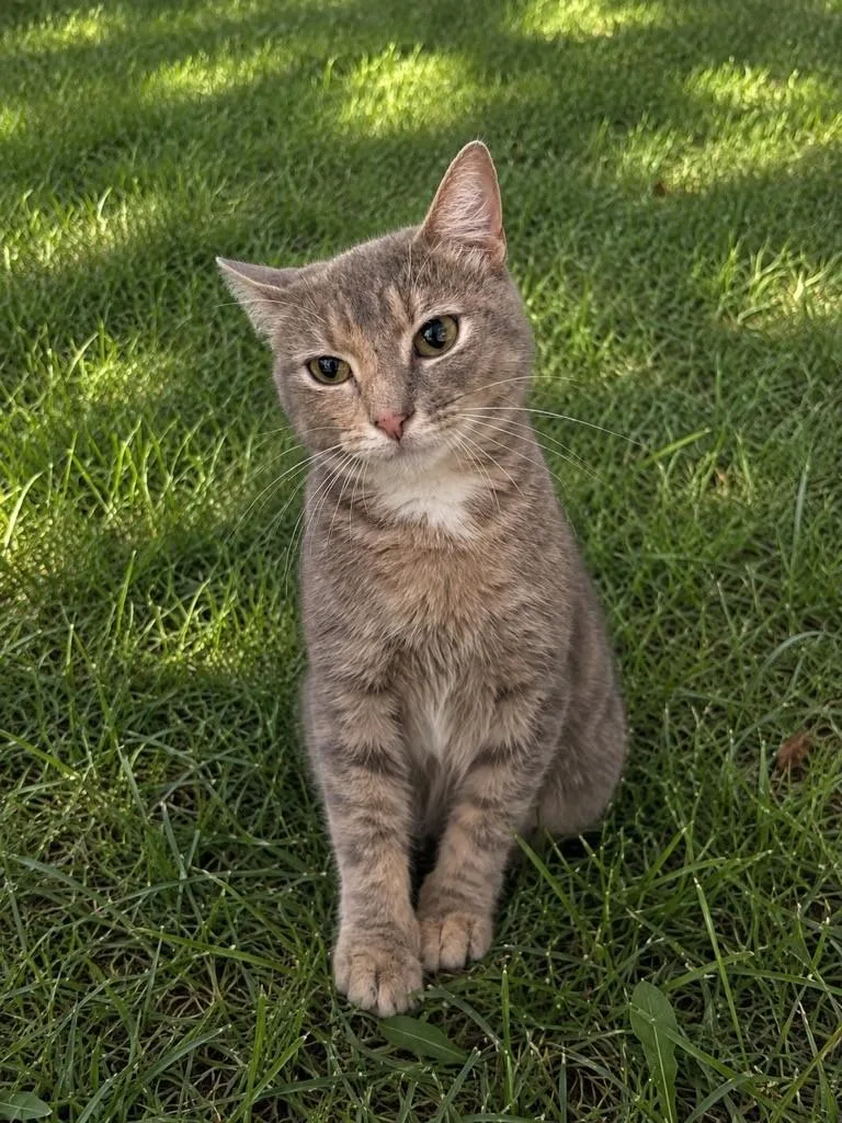 Betty