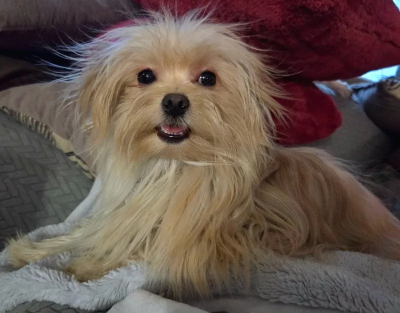 Franklin thumbnail 2