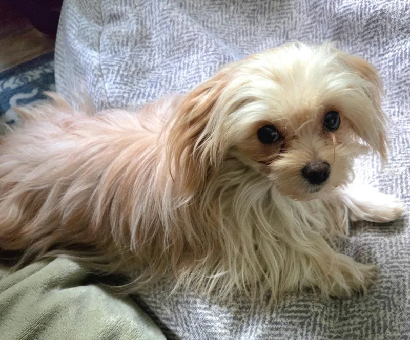 Franklin thumbnail 3