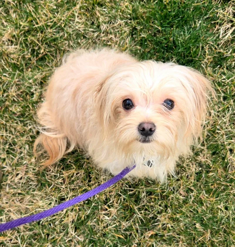 Franklin thumbnail 4