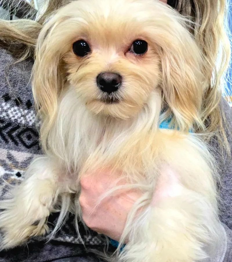 Franklin thumbnail 5